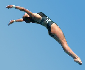 Le plongeon droit Le plongeon droit